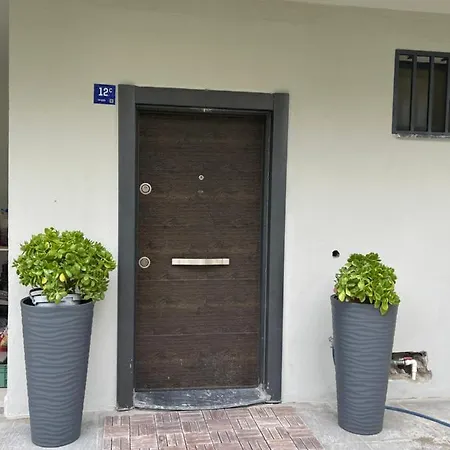 Personal Terrace Floor - In 3*